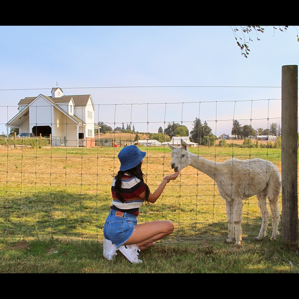 Meet your Posher, Joss